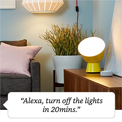 Amazon Smart Plug | Works with Alexa | control lights with voice | easy to set up and use